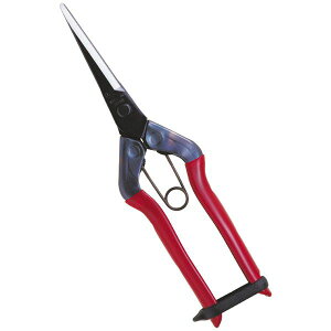 ߐ T-570 O 뒼n BP T570yLZsz