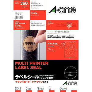 A-one G[ 31745 xV[ v^p NtgE_[NuE@A4@ی^@24ʁ@15V[g 4906186317450yAKBz