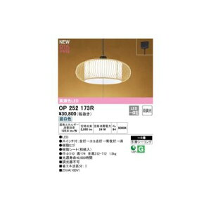 �I�[�f���b�N ODELIC OP252173R LED�y���_���g