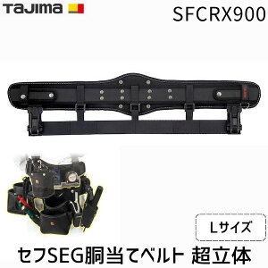 y[݌ɕizTJMfUC ^W} SFCRX900 ZtSEGăxg  LTCY