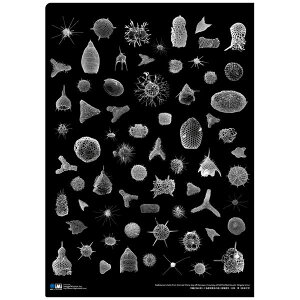 �C���[�W�~�b�V�����؋��� CFR0001 ���U���N���A�t�@�C��A