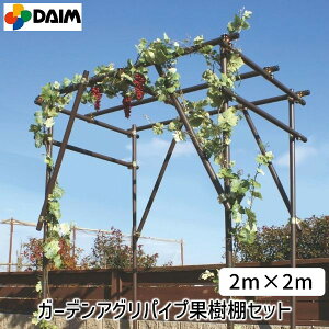 【個数:1個】第一ビニール 4968438018423 ガーデンアグリパイプ果樹棚セット2m×2m