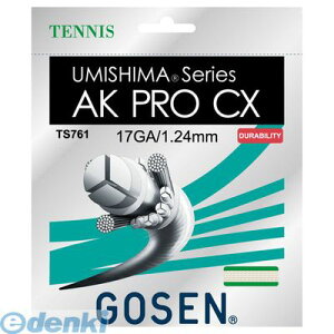 (LINE�N�[�|���L)4906365086450 �S�|�Z�� TS761 �E�~�V�}AKPROCX17 �i�`������ GOSEN �S�[�Z�� �v�� �K�b�g UMISHIMA �e�j�X �e�j�X�K�b�g