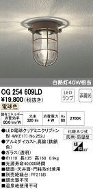 オーデリック ODELIC OG254609LD LEDポーチライト