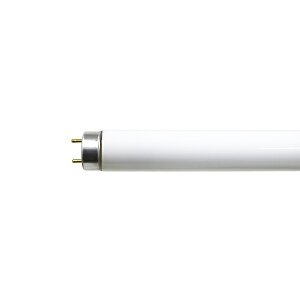FL10EXDZ  ǌu 10W` 3g`F O[X^[^` EZ FL10EX-D-Z