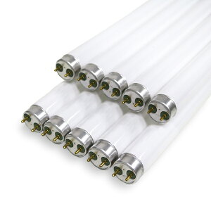 FHF16EXWH  ǌu 16W` 3g`F Hf` EC 10{Zbg FHF16EX-W-H