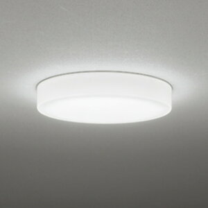 �I�[�f���b�N OL291695NR