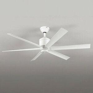 WF239P1 I[fbN V[Ot@ Rt |V[O^Cv