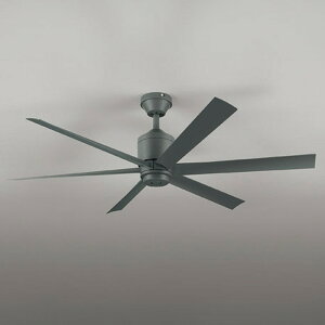 WF249P1 �I�[�f���b�N �V�[�����O�t�@�� �����R���t ���|�V�[�����O�^�C�v