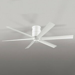 WF237P1 I[fbN V[Ot@ Rt |V[O^Cv