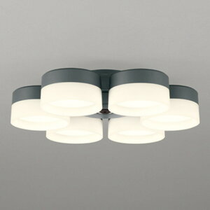 WF259PR I[fbN V[Ot@p {̕ʔ `10p dF F EFؑ։\