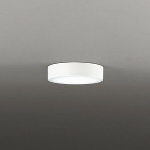 OL291673NR �I�[�f���b�N �_�E���V�[�����O���C�g ���M�����100W���� �����F