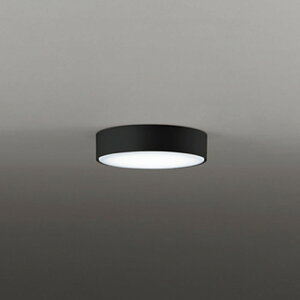 OL291674WR �I�[�f���b�N �_�E���V�[�����O���C�g ���M�����100W���� �����F