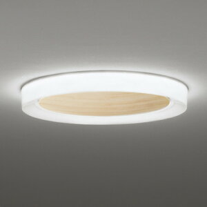 OL291662BR �I�[�f���b�N �V�[�����O���C�g �`12���p �d���F�`�����F Bluetooth�����E���F�\ ���|�V�[�����O�^�C�v