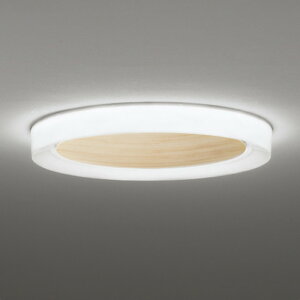 OL291664BR �I�[�f���b�N �V�[�����O���C�g �`8���p �d���F�`�����F Bluetooth�����E���F�\ ���|�V�[�����O�^�C�v