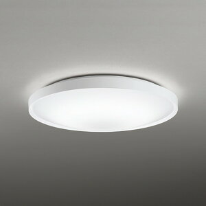 OL291553NGR �I�[�f���b�N �V�[�����O���C�g �����R���t �`8���p �����F ���|�V�[�����O�^�C�v