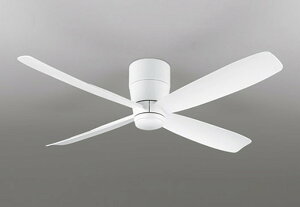 �I�[�f���b�N WF812P1