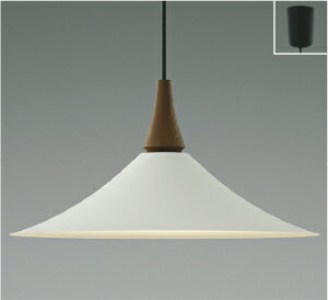 AP54862 RCY~Ɩ y_gCg M100W F |V[O^Cv