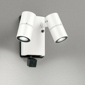 OG264255R I[fbN GNXeA X|bgCg lmʃJt JDR50W×2 F hJ^