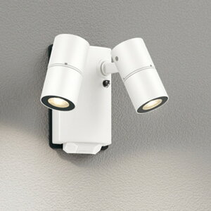 OG264276R I[fbN GNXeA X|bgCg lZT[t JDR50W×2 dF hJ^