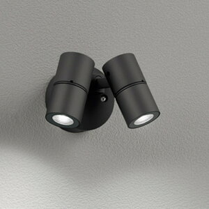 OG264279R I[fbN GNXeA X|bgCg JDR50W×2 F hJ^