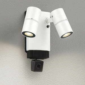 OG264258R I[fbN GNXeA X|bgCg 环ʃJt JDR50W×2 dF hJ^