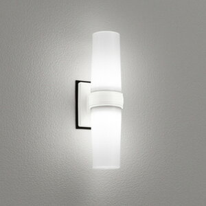 OG254894NR I[fbN |[`Cg FL15W F hJh^