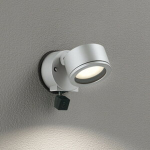 OG264201LCR I[fbN GNXeA X|bgCg lmʃJt M60W dF hJ^