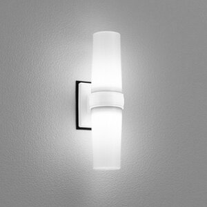 OG254894WR I[fbN |[`Cg FL15W F hJh^