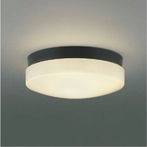 AU55992 RCY~Ɩ V[OCg FCL20W dF hJh^