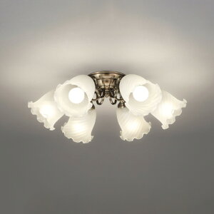 �I�[�f���b�N OC257271LR