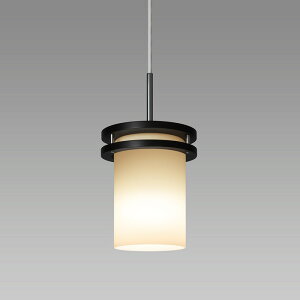 SXCLE261745L z^NX y_gCg M60W dF |V[O^Cv SXC-LE261745L