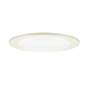LSEB5300LQ1 �p�i�\�j�b�N �_�E�����C�g LGD1100LQ1�����i ��������100 ���M�����60W���� �d���F �����F �����F ���F�ؑ։\ �g�U�^