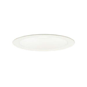LSEB9504LE1 パナソニック ダウンライト LGD3100VLE1相当品 埋込穴Φ100 白熱灯器具100W相当 温白色 Ra83 拡散型