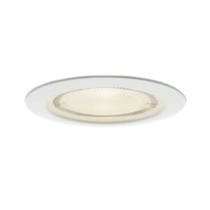 LRD9010 �p�i�\�j�b�N �_�E�����C�g �����v�ʔ� ��������75 LED�R���p�N�g�����v��45�p �h�J�h���^