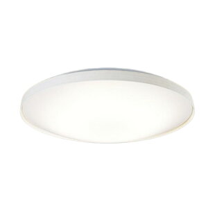 LSEB1191Z �p�i�\�j�b�N �V�[�����O���C�g �����R���t �`8���p �d���F�`�����F �����E���F�\ ���|�V�[�����O�^�C�v