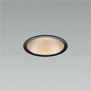 AD52943 �R�C�Y�~�Ɩ� �_�E�����C�g ��������100 FHT32W×2������ �d���F