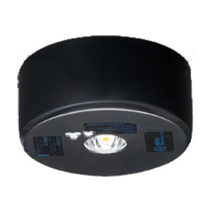 LEDEM13821MK  퓔 t` 100 Vp 13`