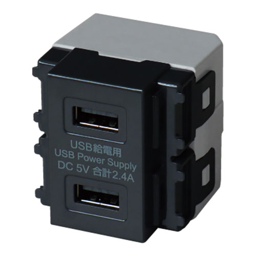 大和電器 埋込USB給電用コンセント Type-A×2 往復送料無料 R3701BK-10SET 特価品コーナー☆ 10個セット ブラック