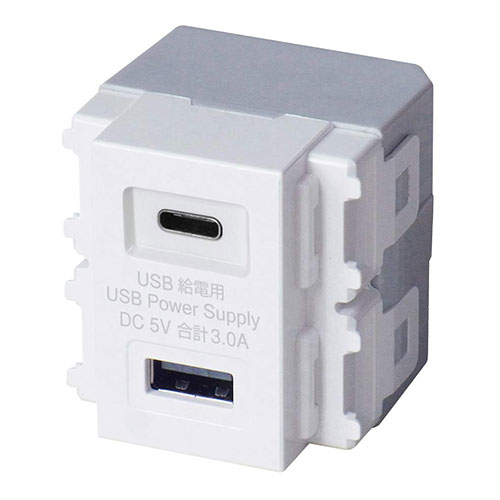 新色追加して再販 送料無料 一部地域を除く 大和電器 埋込USB給電用コンセント Type-A×1 Type-C×1 ホワイト R3704W-10SET 10個セット
