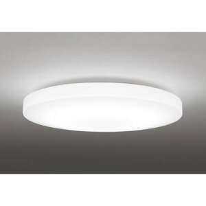 OL251217R1 �I�[�f���b�N �V�[�����O���C�g �`14���p �d���F�`�����F �����E���F�\