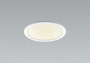 AD53000 �R�C�Y�~�Ɩ� �_�E�����C�g ��������100 FHT42W���� �d���F