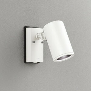 OG254708P1 I[fbN GNXeA X|bgCg lZT[t r[150W F hJ^ ItzCg