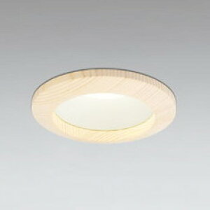 OD261670R �I�[�f���b�N �_�E�����C�g ���ω΍\���Ή� ��������100 ���M�����60W���� �d���F �����\