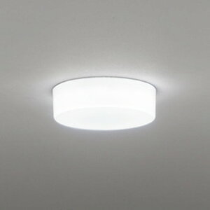 OL291136R �I�[�f���b�N ���^�V�[�����O���C�g ���M�����100W���� �����F