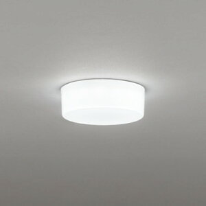 OL291336R �I�[�f���b�N ���^�V�[�����O���C�g ���M�����60W���� �����F