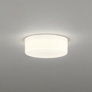 OL291139R �I�[�f���b�N ���^�V�[�����O���C�g ���M�����60W���� �d���F