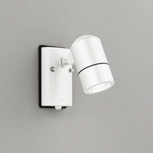 OG254566NR I[fbN GNXeA X|bgCg lZT[t M50W F hJ^ ItzCg