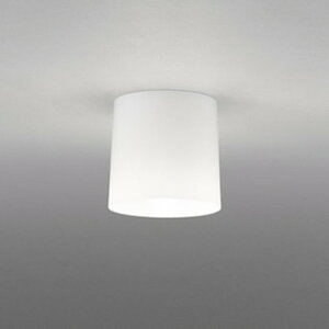 OL013006NR �I�[�f���b�N ���^�V�[�����O���C�g ���M�����60W���� �����F