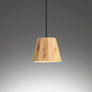 OP252942NR �I�[�f���b�N �y���_���g���C�g ���M�����60W���� �����F ���[����t��p